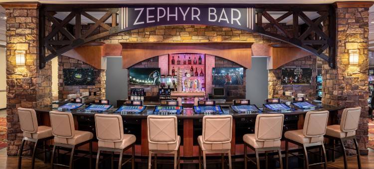 黑鹰幸运女神 酒店(Lady Luck Casino Black Hawk)图片