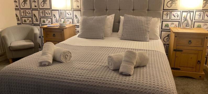 奥克斯酒店(The Oaks Hotel)图片