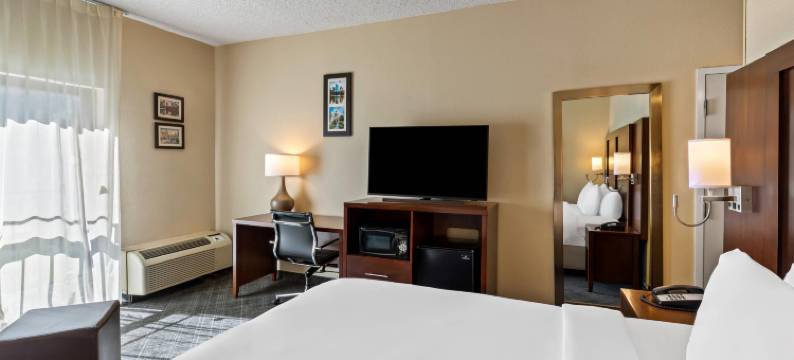 罗斯韦尔-邓伍迪舒适酒店(Comfort Inn Roswell-Dunwoody)图片