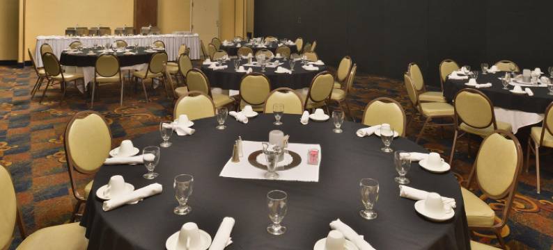 Holiday Inn 格雷特瀑布(Holiday Inn GREAT FALLS-CONVENTION CENTER by IHG)图片