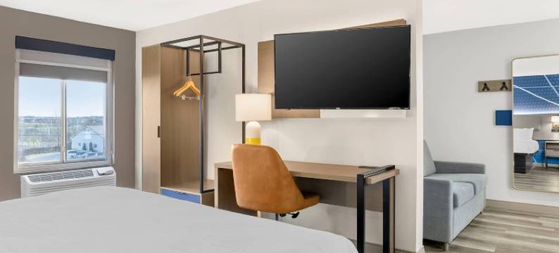 斯普林菲尔德舒适酒店及套房(Springfield Inn)图片