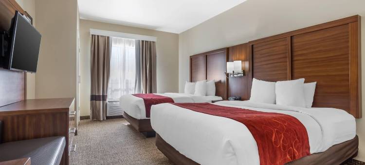 老城斯普林舒适全套房酒店(Comfort Suites Old Town Spring)图片
