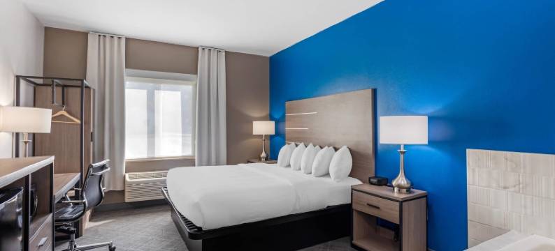 舒适酒店及套房哈里斯堡-赫尔希北(Comfort Inn & Suites Harrisburg-Hershey North)图片