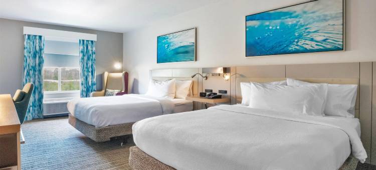 杰克逊维尔机场希尔顿花园酒店(Hilton Garden Inn Jacksonville-Airport)图片