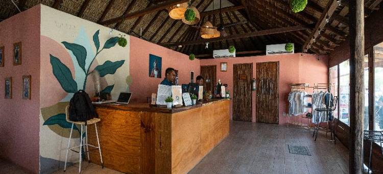 Nílu埃斯孔迪多港塞琳娜酒店(Nílu Puerto Escondido by Selina)图片