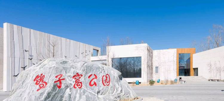 北戴河晓跃民宿(海宁路分店)图片