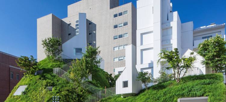 白井屋酒店(Shiroiya Hotel)图片
