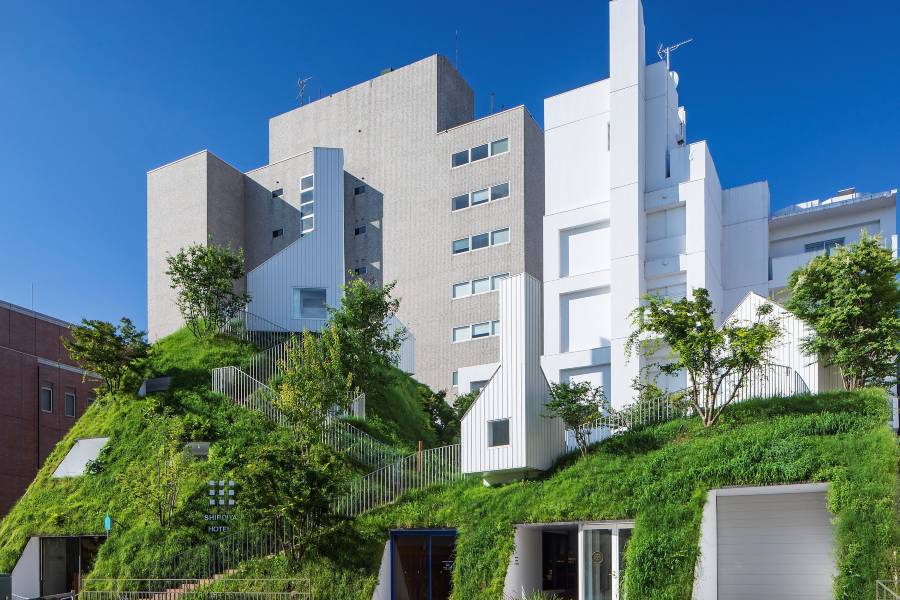 白井屋酒店