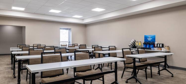 日内瓦斯派尔学院蔚景温德姆酒店(Wingate by Wyndham Geneva at Spire Academy)图片