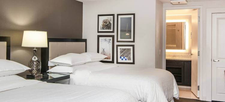 明尼阿波利斯西喜来登酒店(Sheraton Minneapolis West Hotel)图片