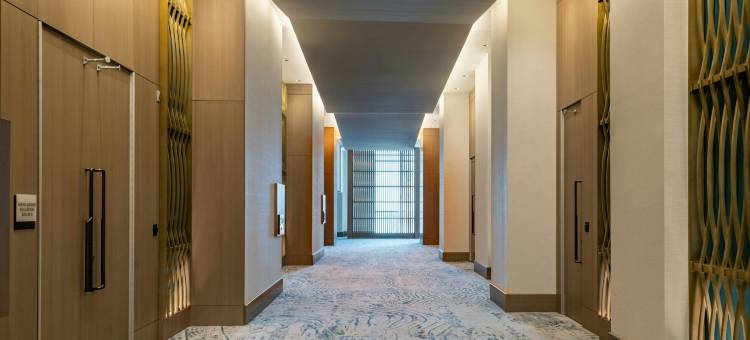 JW万豪清水湾度假村及水疗中心(JW Marriott Clearwater Beach Resort & Spa)图片