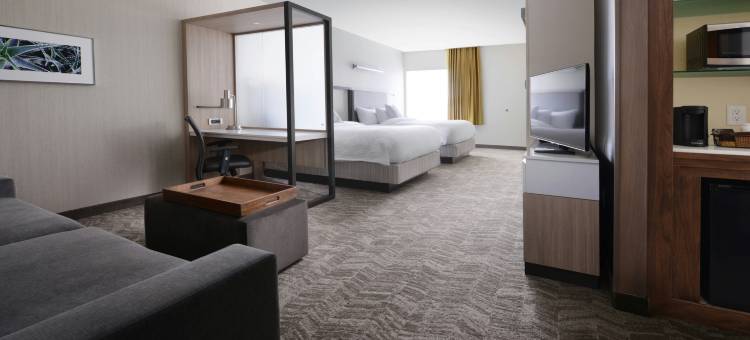 圣安东尼奥西北里姆SpringHill Suites酒店(SpringHill Suites San Antonio Northwest at the Rim)图片