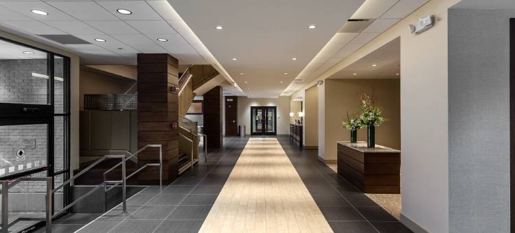 芝加哥北埃文斯顿假日酒店(Holiday Inn CHICAGO NORTH-EVANSTON by IHG)图片