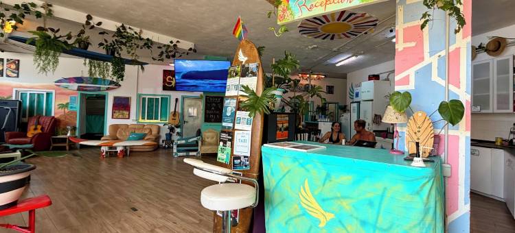梅达诺巢旅舍(Medano Nest Hostel)图片