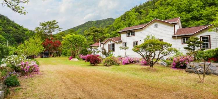 丹阳Eowoolim旅馆(Danyang Eowoolim Pension)图片