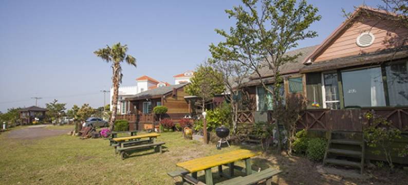 济州美丽鸟儿旅馆(Jeju Beautiful Bird Pension)图片