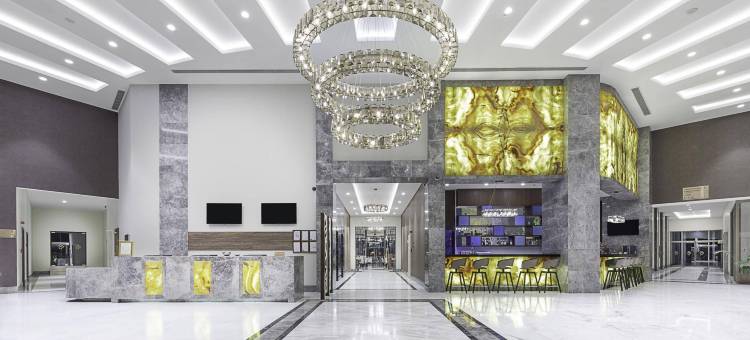 德狄曼托卡酒店(Dedeman Tokat)图片