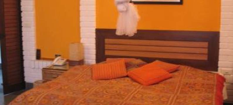 B十九住宿加早餐旅馆(B Nineteen)图片