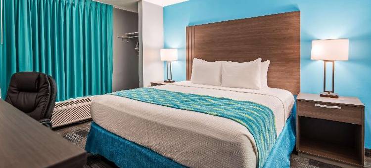 杰克逊维尔南贝斯特韦斯特SureStay酒店(SureStay Hotel by Best Western Jacksonville South)图片