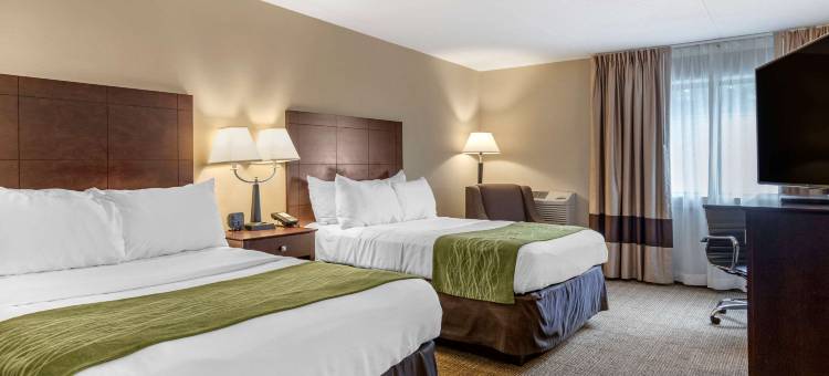 舒适酒店(Comfort Inn)图片