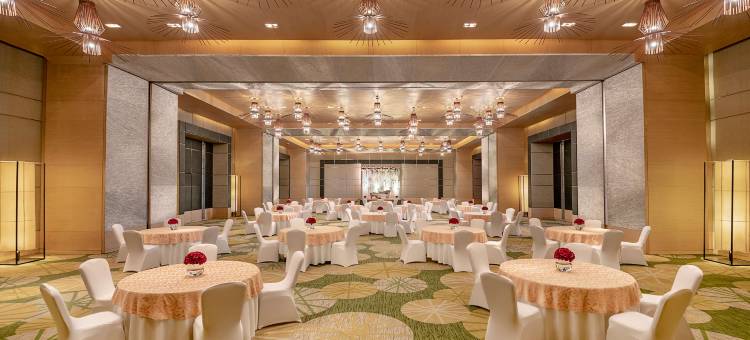 阿姆利则丽笙蓝标酒店(Radisson Blu Hotel Amritsar)图片
