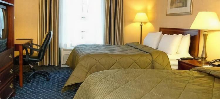 舒适酒店兰道夫 - 波士顿(Comfort Inn Randolph-Boston)图片