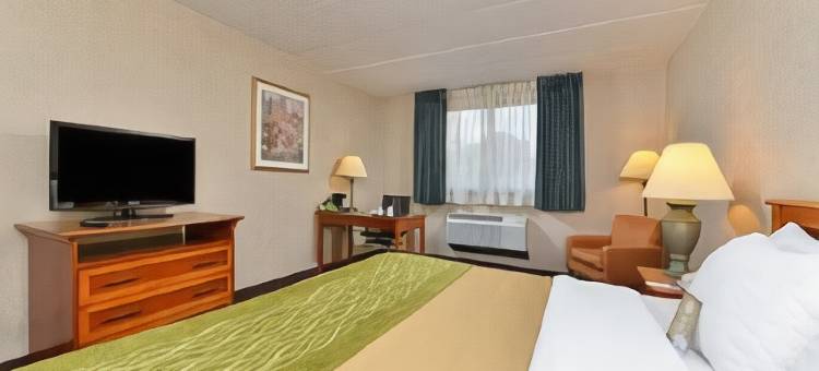 赫恩登 - 里斯顿舒适酒店(Comfort Inn Herndon-Reston)图片