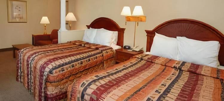 克利尔沃特-但尼丁舒适套房酒店(Comfort Suites Clearwater - Dunedin)图片