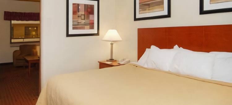 兰辛魁利提套房酒店(Quality Suites)图片