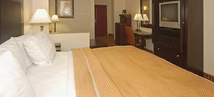 亚特兰大南部莫罗舒适套房酒店(Comfort Suites Morrow- Atlanta South)图片