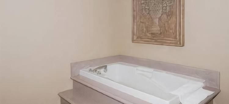 金伍德休斯顿北部舒适套房酒店(Comfort Suites Kingwood Houston North)图片