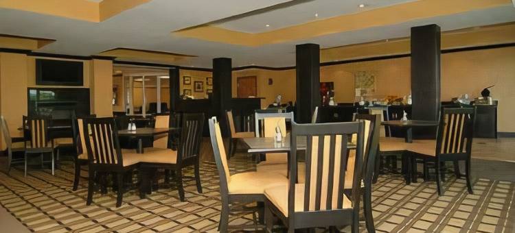 舒适套房酒店(Comfort Suites Conway)图片