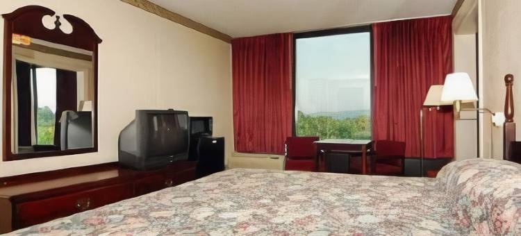 舒适酒店及套房-怀奥米辛雷丁(Comfort Inn & Suites Wyomissing-Reading)图片