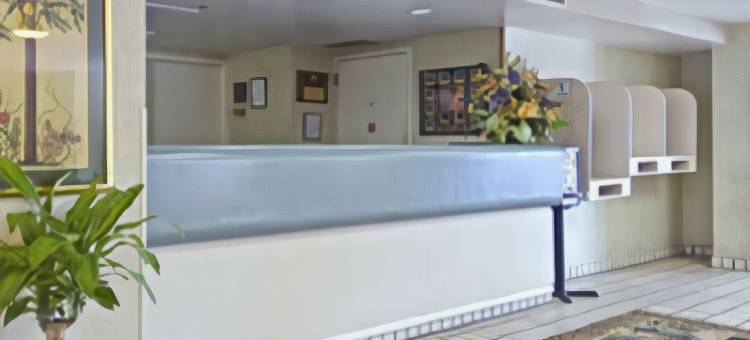 舒适酒店及套房-圣彼得堡-克利尔沃特国际机场(Comfort Inn & Suites St Pete - Clearwater International Airport)图片