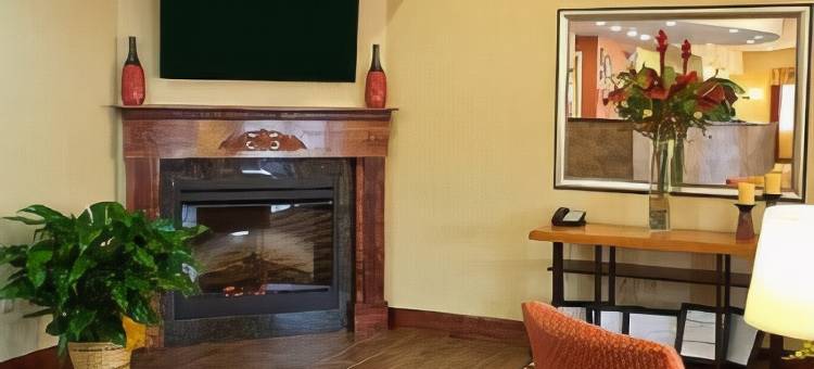 舒适套房酒店-黄金群岛(Comfort Suites Golden Isles Gateway)图片