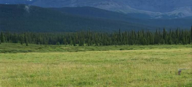 Holiday Inn 欣顿(Holiday Inn Hinton)图片