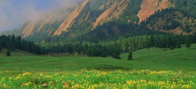 博尔德舒适套房酒店(Comfort Inn & Suites Boulder)图片