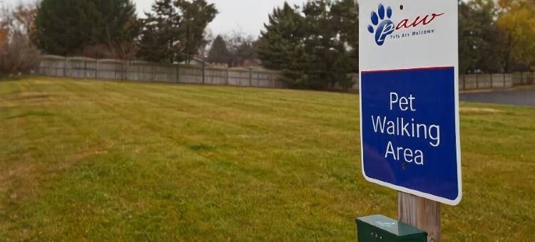 Candlewood Suites 罗克福德(Candlewood Suites Rockford)图片