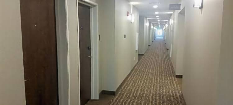白宫舒适酒店(Comfort Inn White House)图片