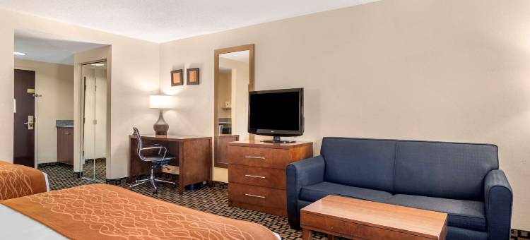 舒适套房酒店(Comfort Inn & Suites Athens North)图片