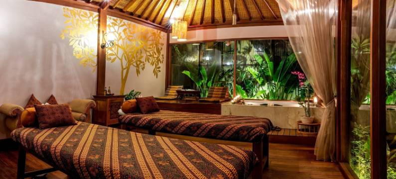 迪西尼别墅酒店(DISINI Luxury Spa Villas)图片