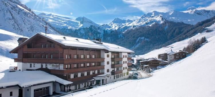 阿尔卑斯霍夫酒店(Hotel Alpenhof)图片