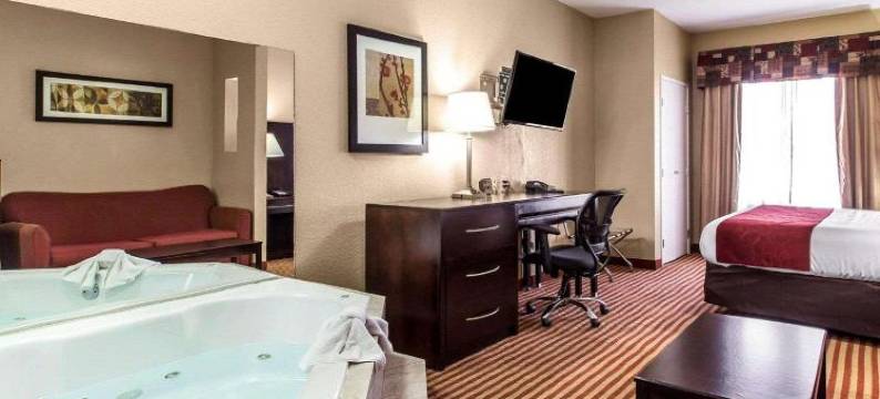 舒适套房酒店(Comfort Suites)图片