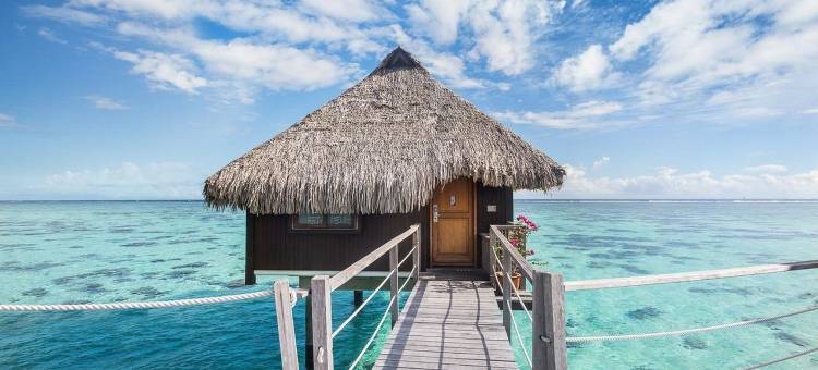 茉莉亚礁湖希尔顿度假酒店及水疗中心(Hilton Moorea Lagoon Resort and Spa)图片