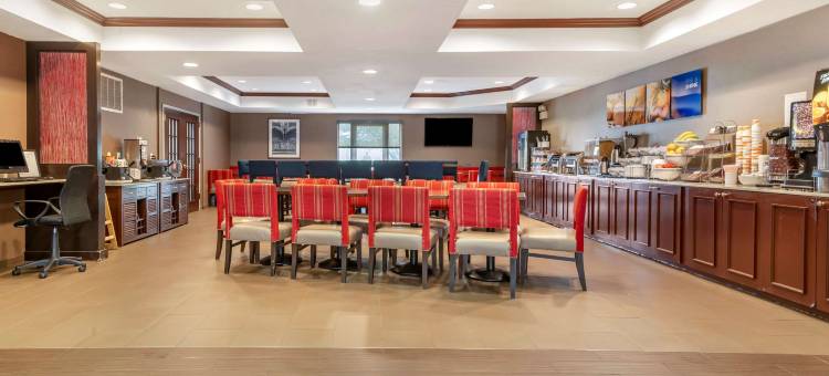 纽瓦克哈里森舒适套房酒店(Comfort Suites Newark - Harrison)图片