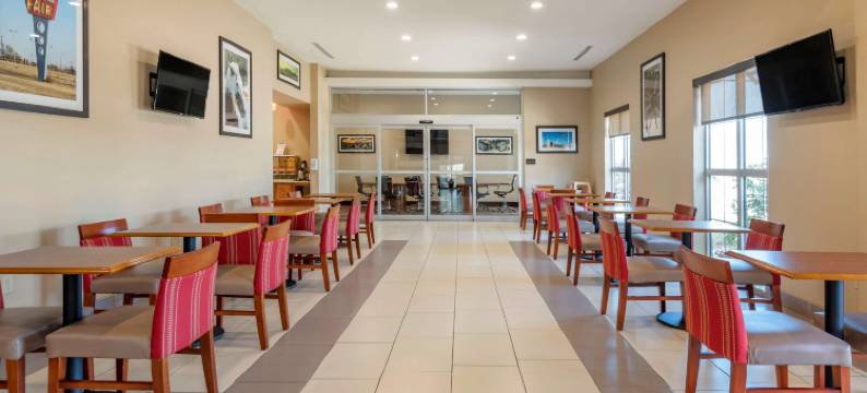 舒适套房酒店-大学(Comfort Suites - University)图片