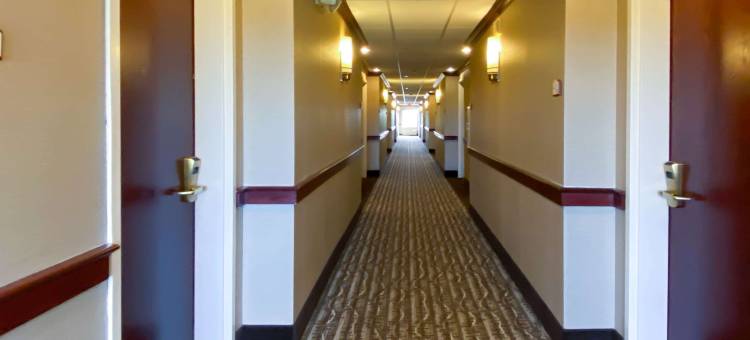 舒适酒店-斯普林菲尔德东温莎市(Comfort Inn East Windsor - Springfield)图片