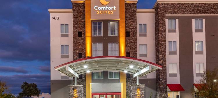 舒适套房(Comfort Suites)图片