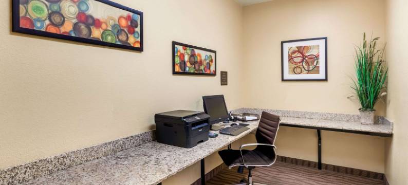 伯灵顿舒适套房酒店(Comfort Suites Burlington)图片