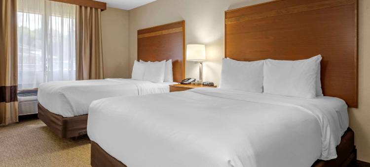 米勒斯堡舒适酒店(Comfort Inn)图片
